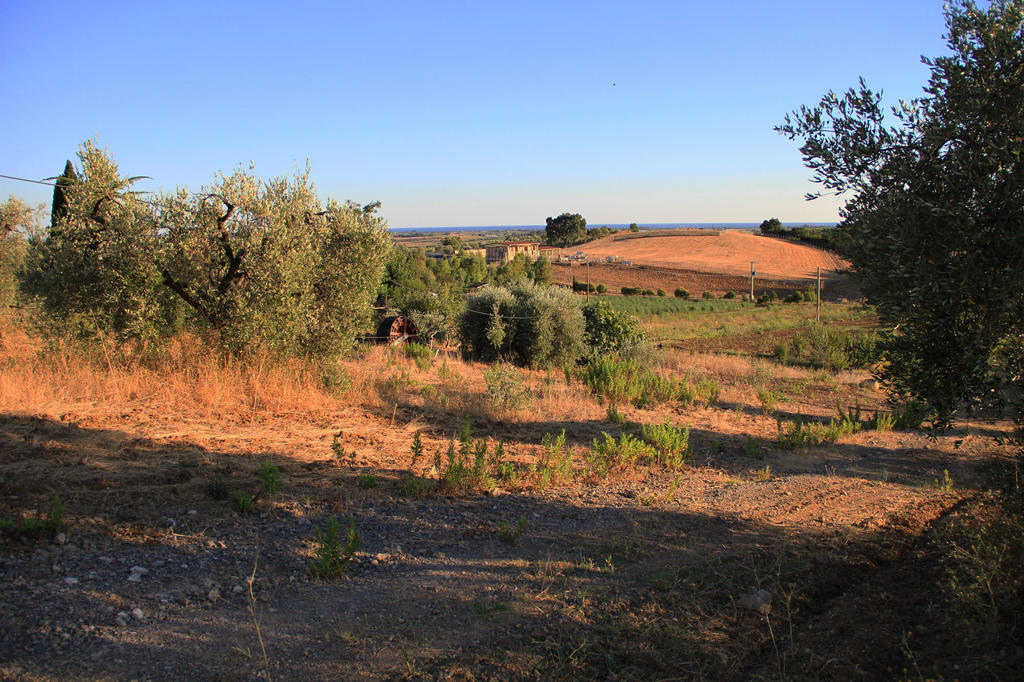 Agriturismo San Mauro Capalbio Exteriér fotografie